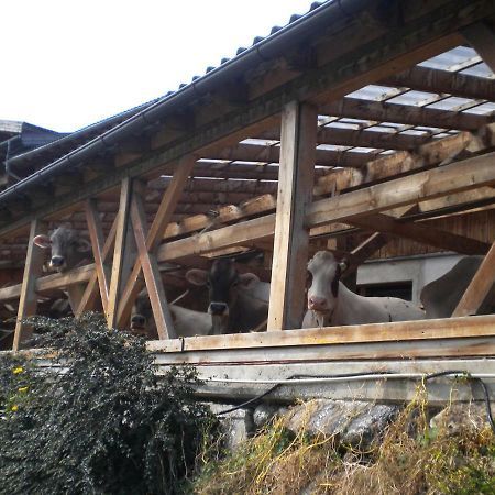 트린스 Weberhof 빌라 외부 사진