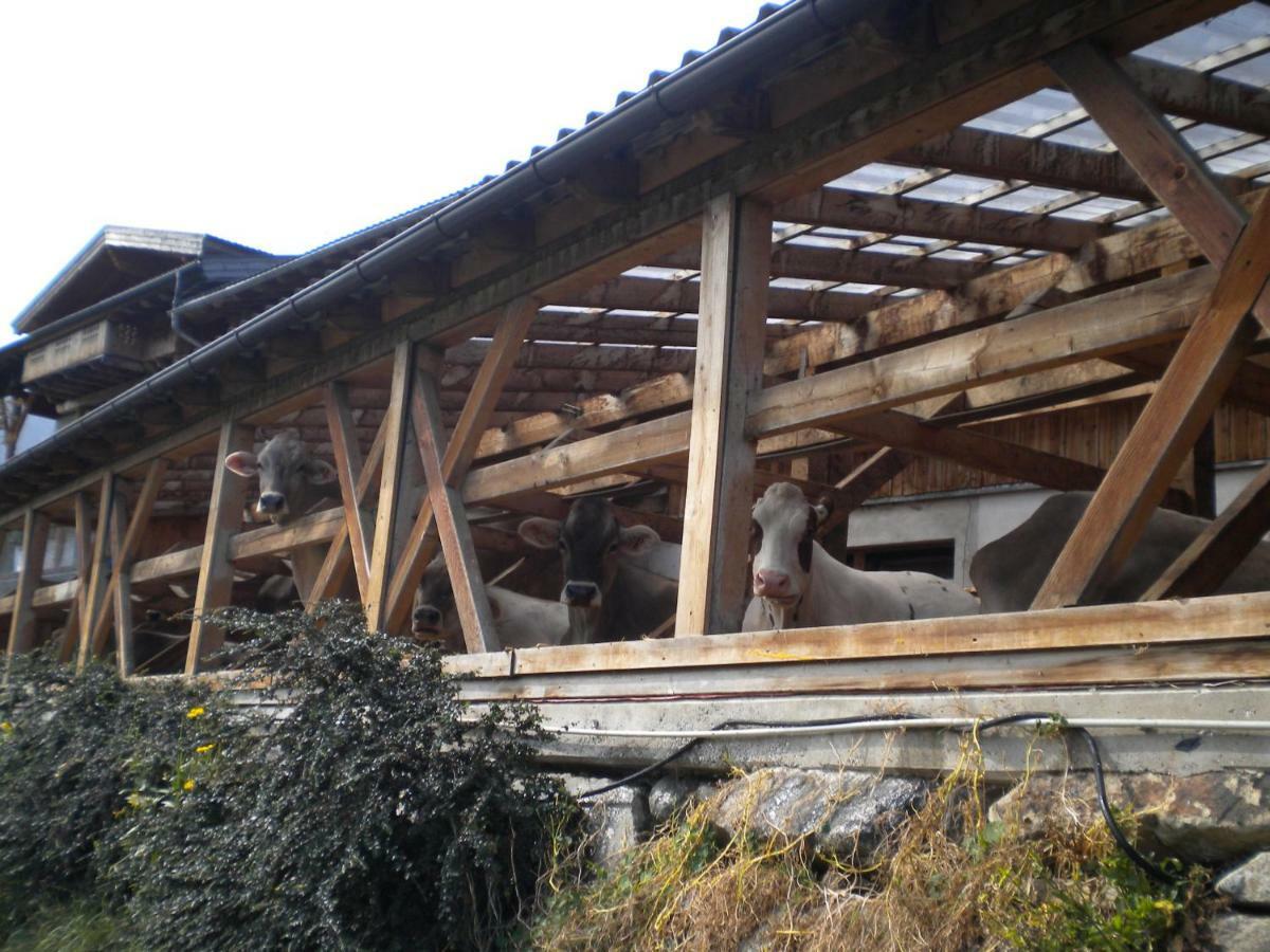 트린스 Weberhof 빌라 외부 사진